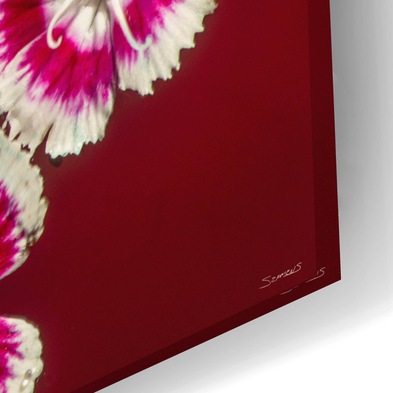 «Macro Flowers 02» par Gordon Semmens, H 16 po x l 24 po x P 0,2 po
