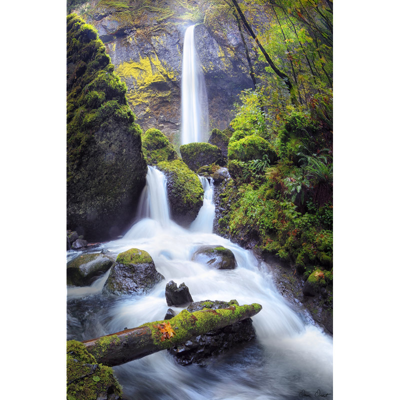 Averyn Rapid Waterfall I par David Drost, H 18 po x l 12 po