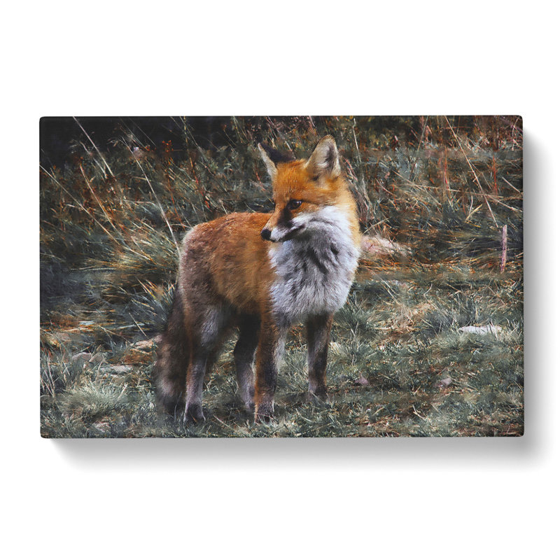 Red Fox Vol.2 - Wrapped Canvas Print, 50cm H x 76cm W x 3cm D