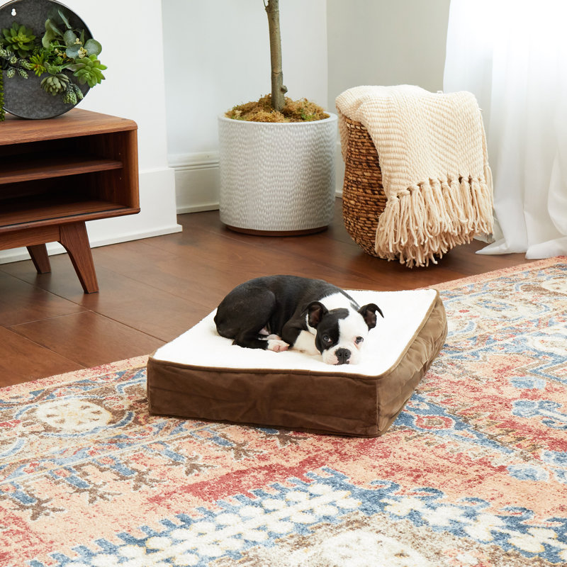 Lit orthopédique pour chien Lind Stockholm, Très petit (l 24 po x P 18 po x H 4 po), Latte