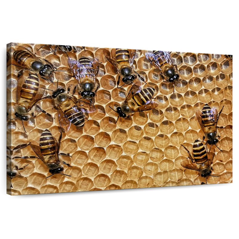 Brampt Honeycomb Bees, 32" H x 48" W