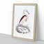 Maroon-Backed Heron by John Edward Gray - Framed Print-55575866-55575867