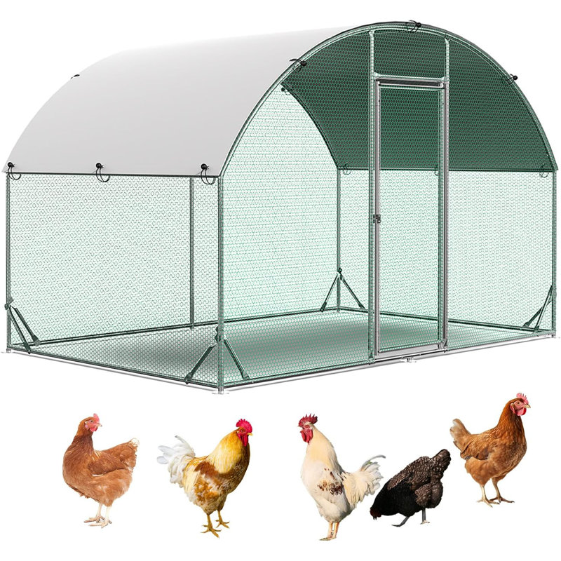 Erisa Chicken Run, 76.80" H x 78" W x 120" D