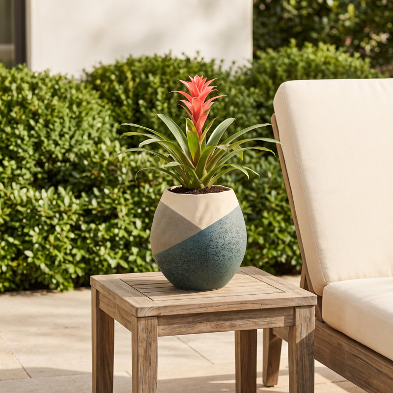 Hand-Painted Stoneware Planter, Sand Finish