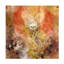 Art sur toile Phoenix, Stephanie Law-105650405