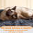 Siegfried Multi-Level Cat Tree-1723425975