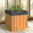 Ajwaa Planter Box-644504580