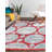 Oriental Indoor Rug-1745243812