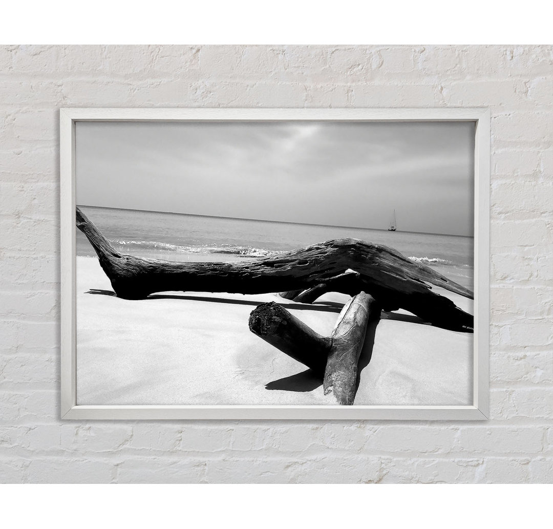 Ocean Drift Wood On The Shore B N W - Einzelbildrahmen Kunstdrucke auf Leinwand