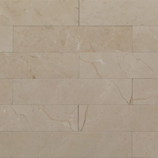 Honed Crema Marfil 2"X9"