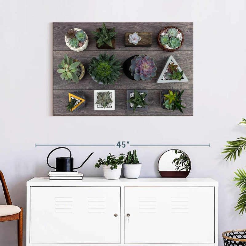 Harnek Assorted Succulents, 24" H x 36" W