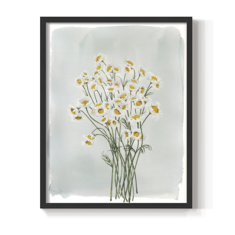 «Chamomile Bouquet I», reproduction encadrée - bois massif, Noir, noir, noir, noir, H 15 po x l 12 po