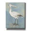 «Sea Bird 1» par Stellar Design Studio, estampe numérique sur toile-1734483766