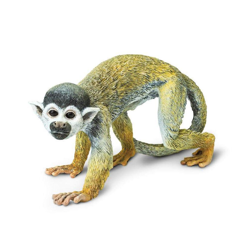 Écureuil