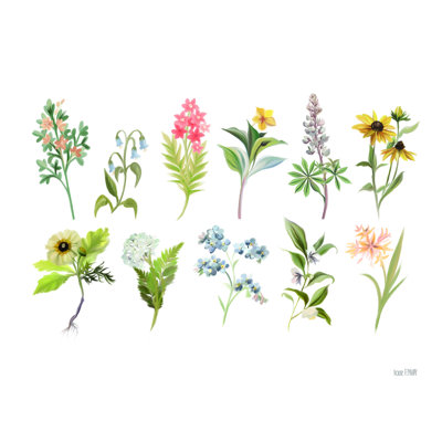 " Spring Botanicals " by House Fenway