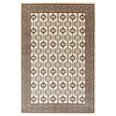 Oriental Area Rug