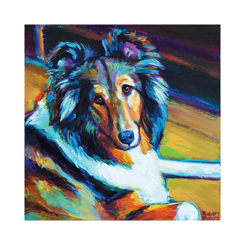 Sheltie I by Robert Phelps - Wrapped Canvas Painting, 93.98 cm H x 93.98 cm W x 3.175 cm D