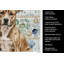 Serviette de cuisine Brindle American Staffordshire-1209194099