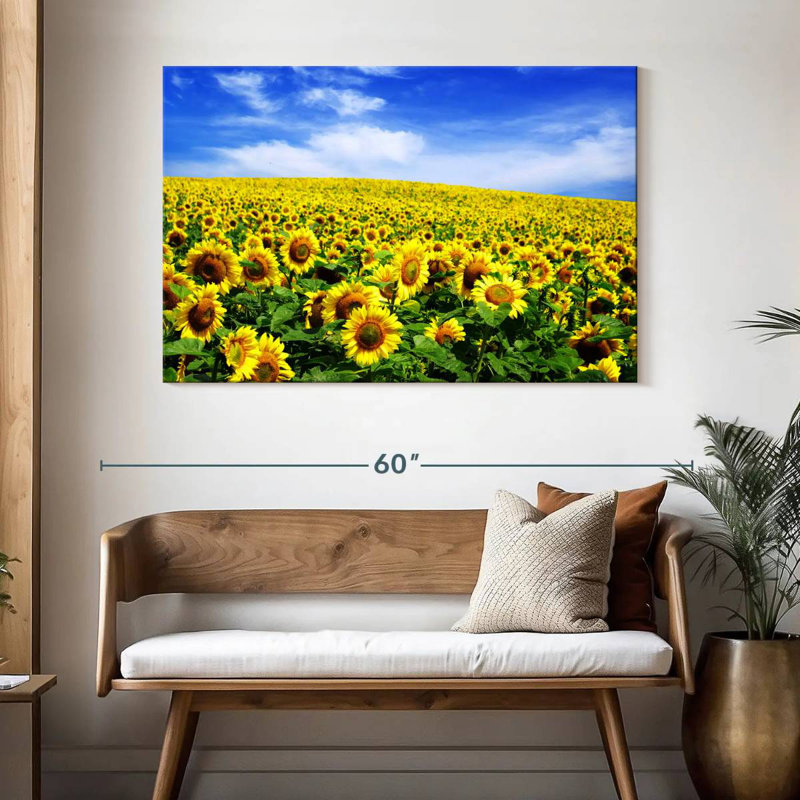Tournesols sous un ciel bleu