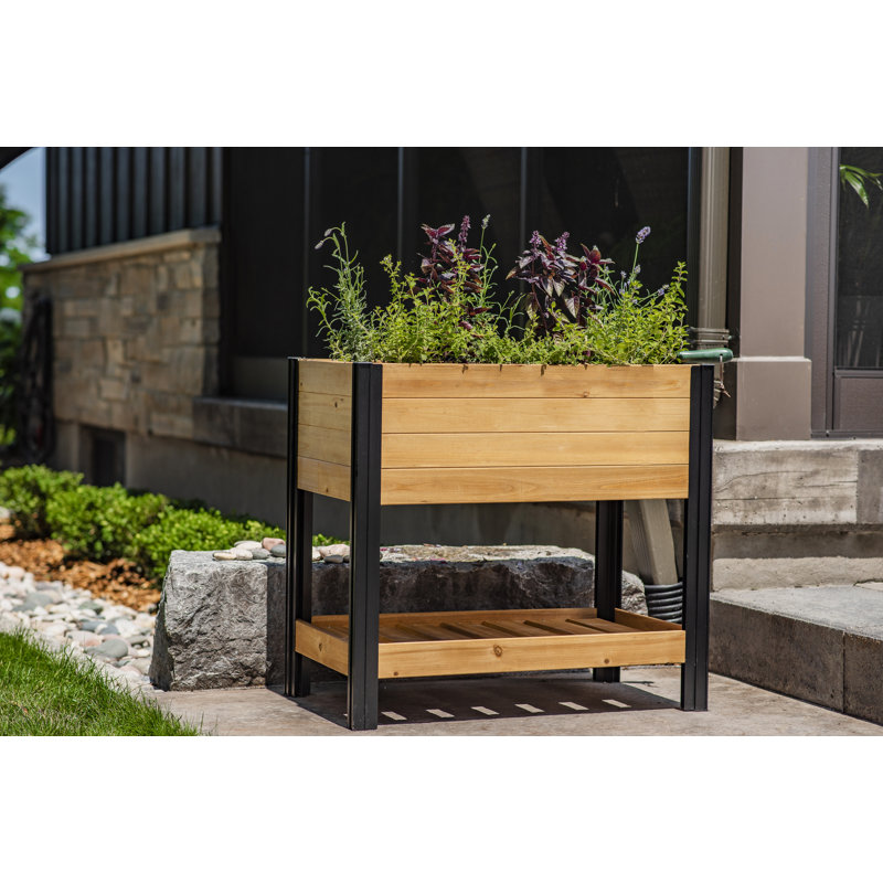 Mezza Cedar Raised Planter, 33.1" H x 31.6" W x 18" D