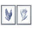 "Seaweed Under Water III" - ensemble de 2 reproductions d'art-1161576866-1089807172-1089807161