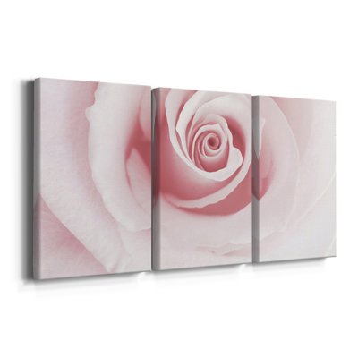" Rose Embrace " 3 Piece Art Color Photography Print