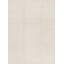 Hand-Knotted High-Quality Ivory Area Rug