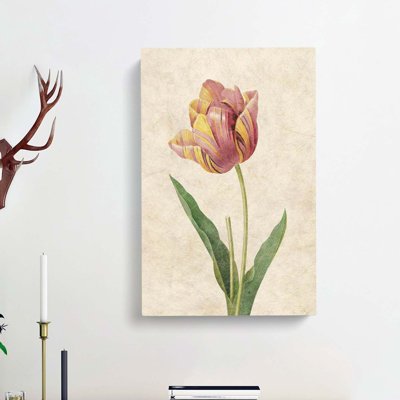 Pink Tulip by Pierre-Joseph Redoute - Wrapped Canvas