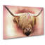 Head Of A Highland Cow In Abstract by Adam BG - Wrapped Canvas-55307740