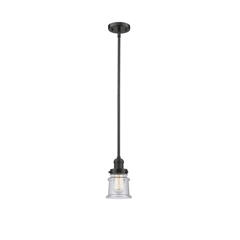 Luminaire suspendu en forme de cloche à 1 lumière Alexandira, Transparent, Ampoule DEL 6 watts Vinage, Noir mat