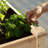 Outdoor Fir Wood Elevated Planter-834021859