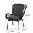 Elegant Grey Chair, Cushion Pad, Robust Iron Modern Chair With Stable Construction And Cleanable Seat-695447858-695447857