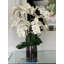 Blooming Orchid in Vase-931651924