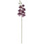 Plastic, Silk Artificial Arrangement