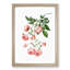 Rambler Roses by Pierre-Joseph Redoute - Picture Frame Painting Print-55602245-55602246