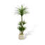 Arbre de dragon haut de gamme Bionic Green Plant