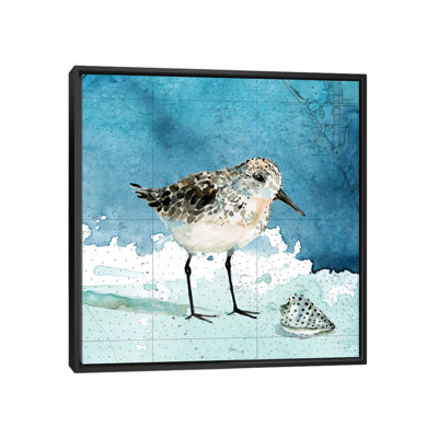 " Bay Shore Sandpiper I " by Carol Robinson Painting Print