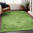 Premium Machine Washable Kiyondrea Aloe Rug-885147744