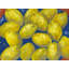 Sunshine On A Platter Print by Dina Gardner-82645458-82645462-82645463
