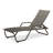 Outdoor Rust-Resistant Metal Chaise Lounge-19510311-48935096