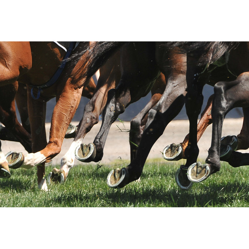 Horse Racing Action by Quentinjlang - Wrapped Canvas Print, 20cm H x 30cm W