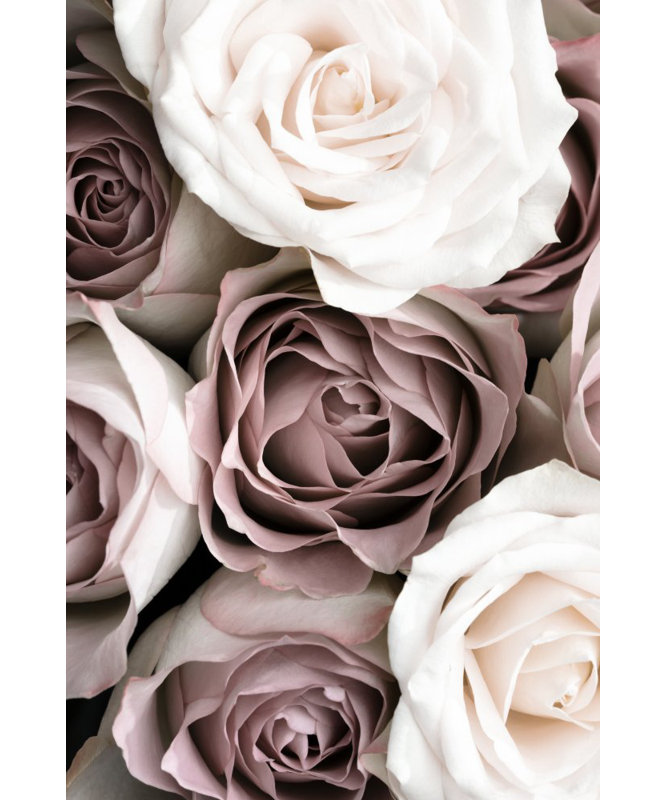Wrapped Canvas Print, 60.96cm H x 91.44cm W