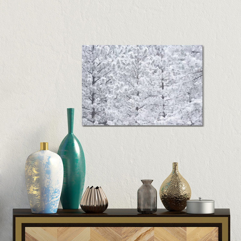 Wind-blown Frosted Snow On Trees, Mt. Hood National Forest, Oregon by Stuart Westmorland - No Frame Gallery-Wrapped Canvas Giclée on Canvas