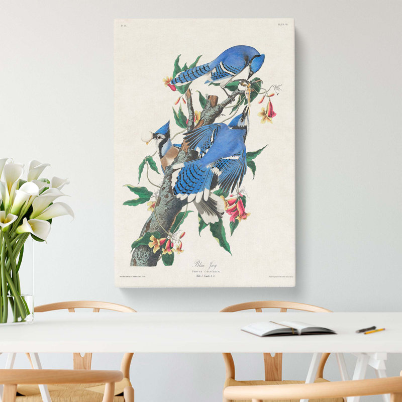 Blue-jay Birds by John Audubon - Wrapped Canvas, 60cm H x 40cm W x 3cm D