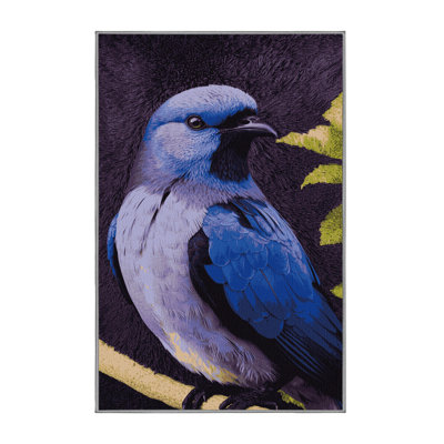 Tapis lavable violacé Euphonia Birds