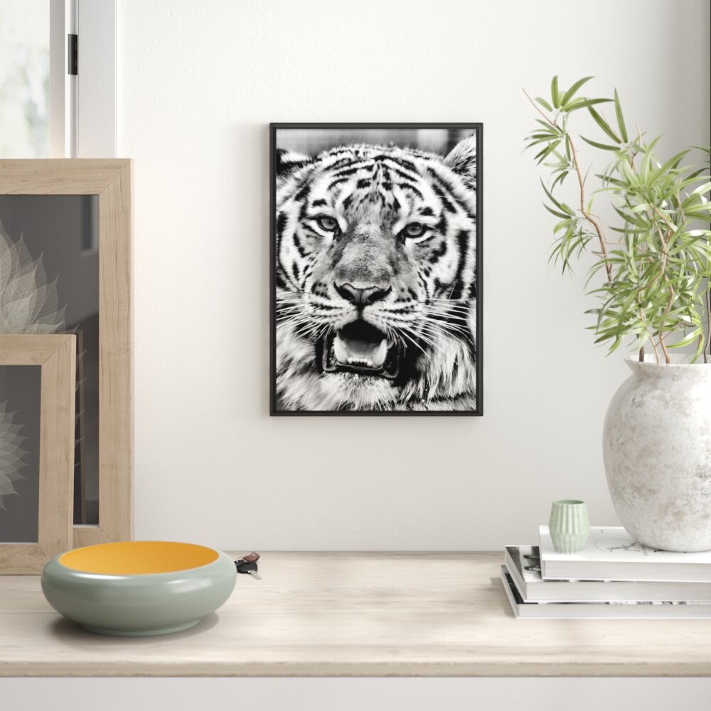 Gerahmtes Wandbild Tiger mit offenem Maul