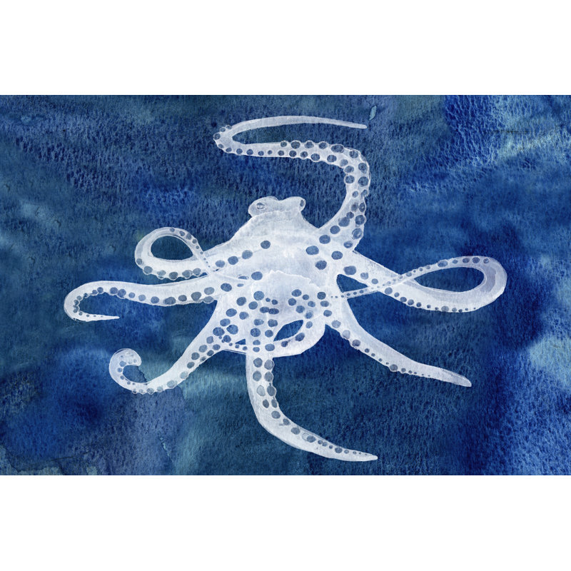 Cephalopod II by Alicia Ludwig - Wrapped Canvas Art Prints, 20cm H x 30cm W x 3.8cm D