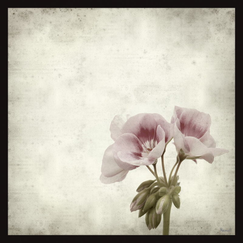 I Must Have Flowers by Marmont Hill - Single Picture Frame Painting, 30cm H x 30cm W x 3.81cm D