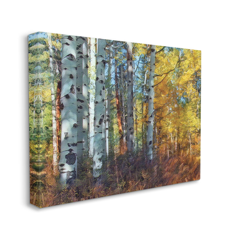 Grappe de bouleaux dans la forêt d'automne jaune par - Impression, Toile tendue, H 30 po x l 40 po x P 2 po