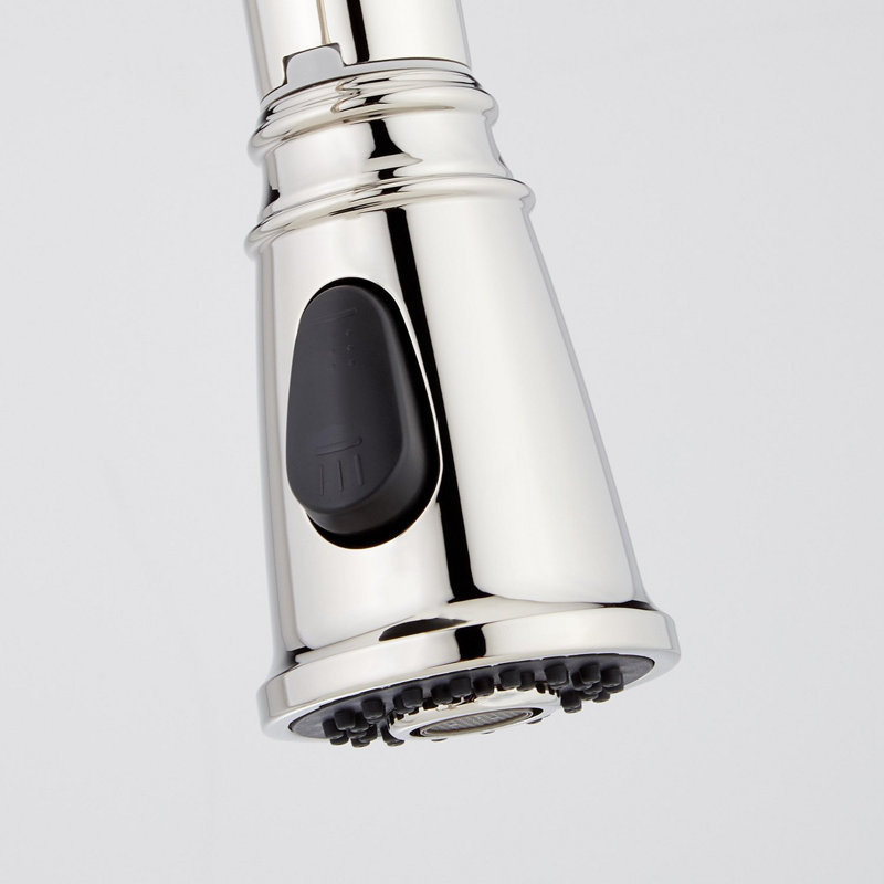 Finnian 1.8 GPM Single Hole Pull Down Kitchen Faucet